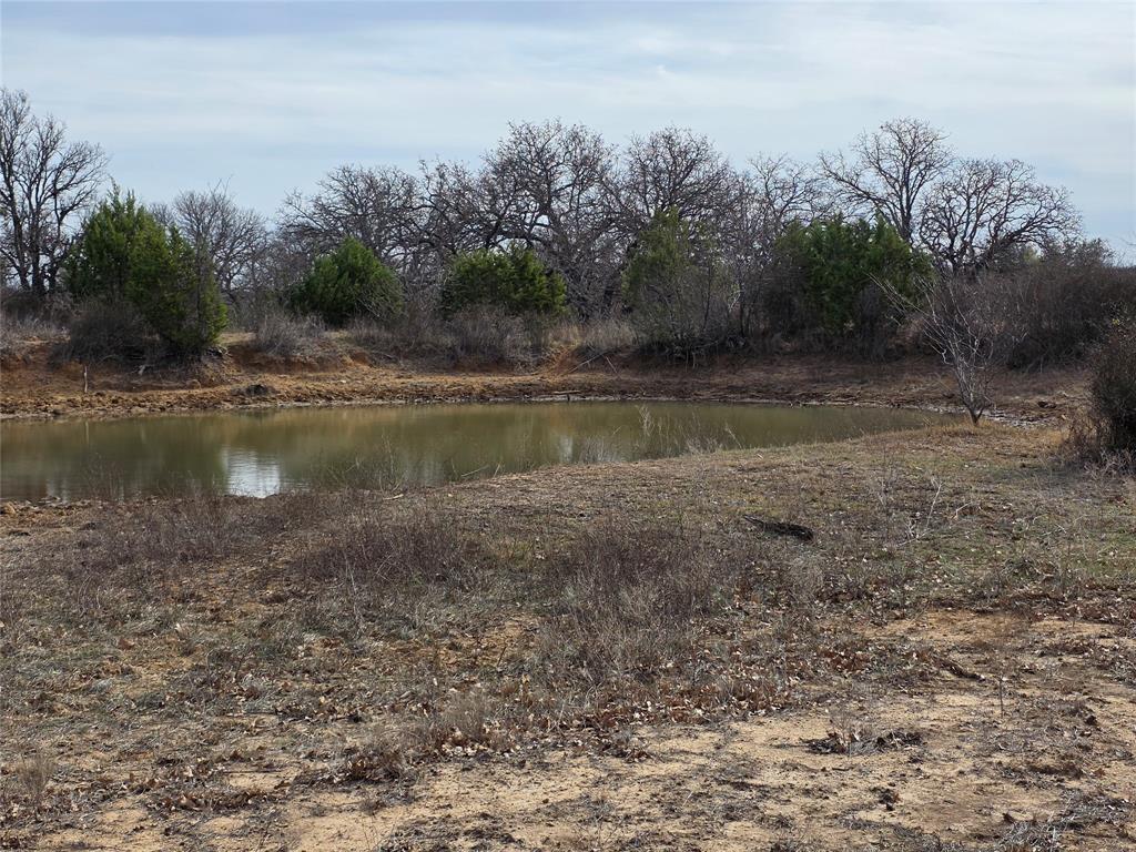 4451 Farm To Market 585 Bangs, TX 76823 - Photo 22 of 36