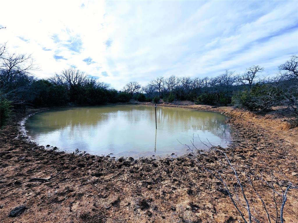 4451 Farm To Market 585 Bangs, TX 76823 - Photo 23 of 36