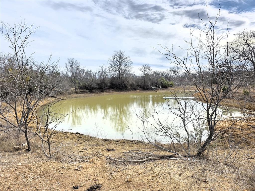 4451 Farm To Market 585 Bangs, TX 76823 - Photo 25 of 36