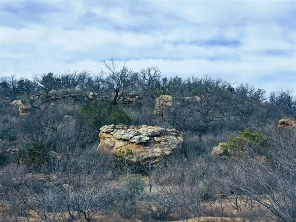 $725,000 | 4451 Farm To Market 585, Bangs, TX 76823