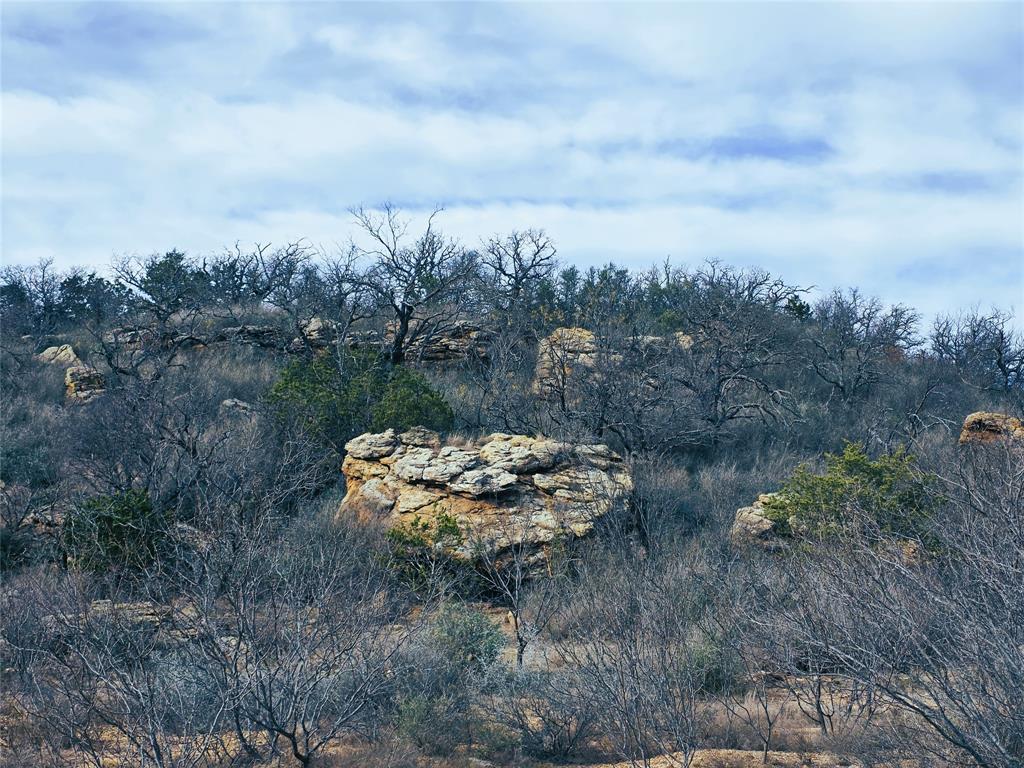 4451 Farm To Market 585 Bangs, TX 76823 - Photo 28 of 36