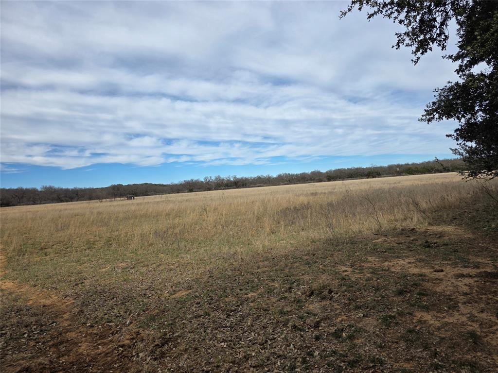 4451 Farm To Market 585 Bangs, TX 76823 - Photo 30 of 36