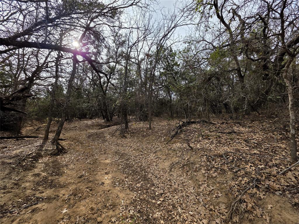 4451 Farm To Market 585 Bangs, TX 76823 - Photo 33 of 36