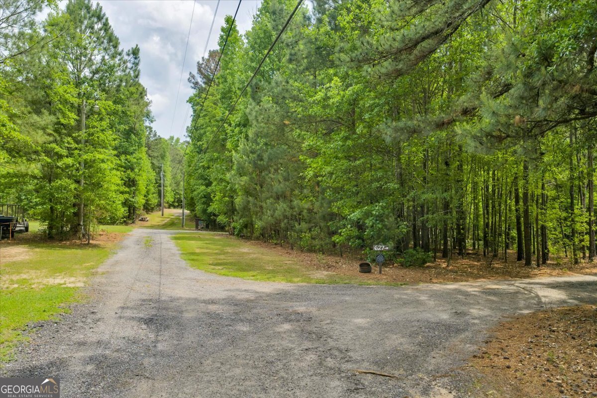 627 Johnstonville Road Barnesville, GA 30204 - Photo 59 of 73