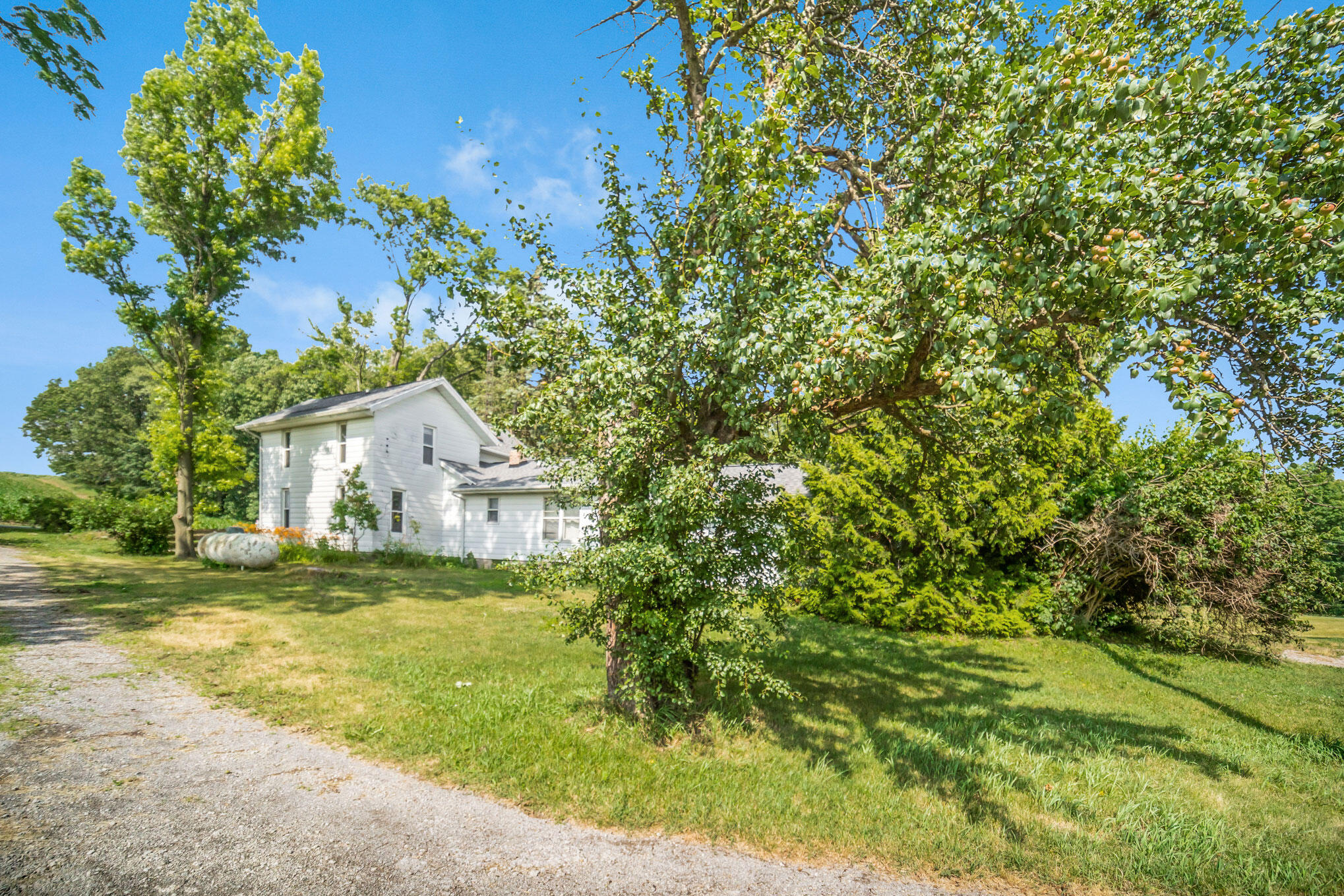 1883 White Road Cement City, MI 49233 - Photo 5 of 27 5