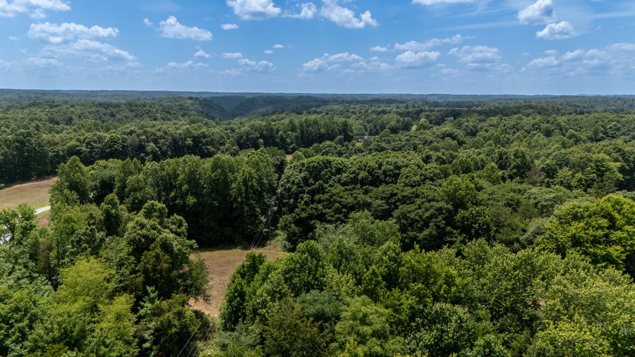 3772 Pea Ridge Road Liberty, TN 37095 - Photo 30 of 52