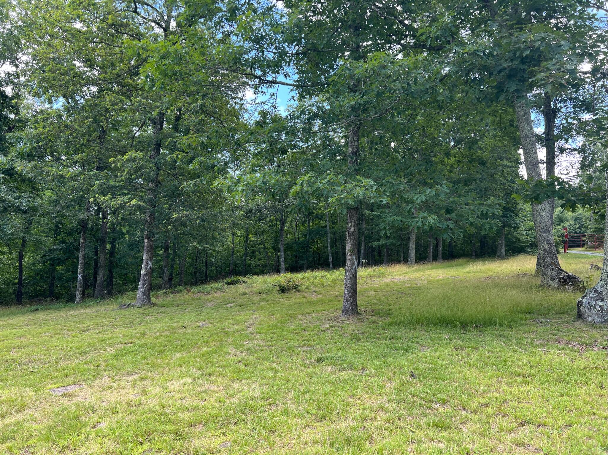 3676 Crowder Road Gap Mills, WV 24941 - Photo 22 of 23 Gallery Image 22