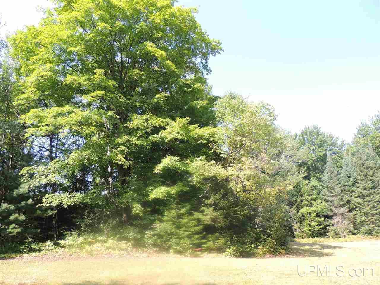 11202 33 Road Rapid River, MI 49878 - Photo 19 of 20