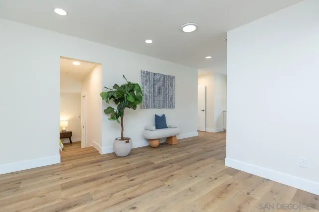 a room with wooden floor and potted plant