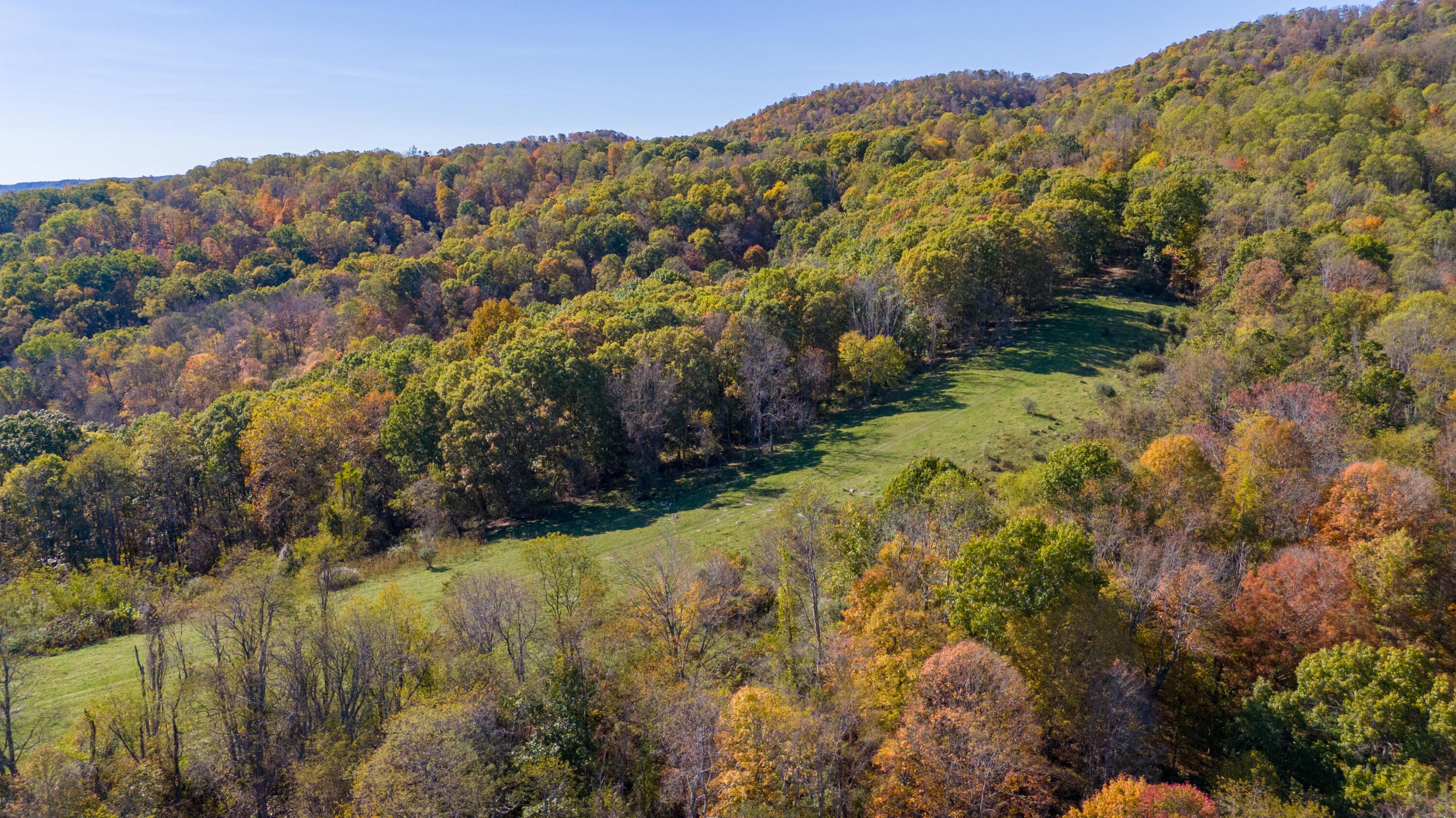 Davis Stuart Road Lewisburg, WV 24901 - Photo 55 of 72 Gallery Image 55