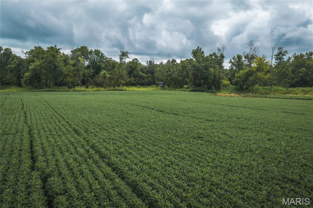 0 State Highway Rutledge, MO 63563 - Photo 5 of 28 Gallery Image 5