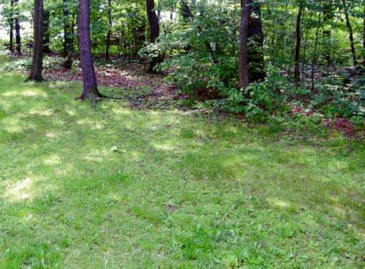 1742 Pine Run Road Rochester, PA 15074 - Photo 8 of 8 Yard/Garden.