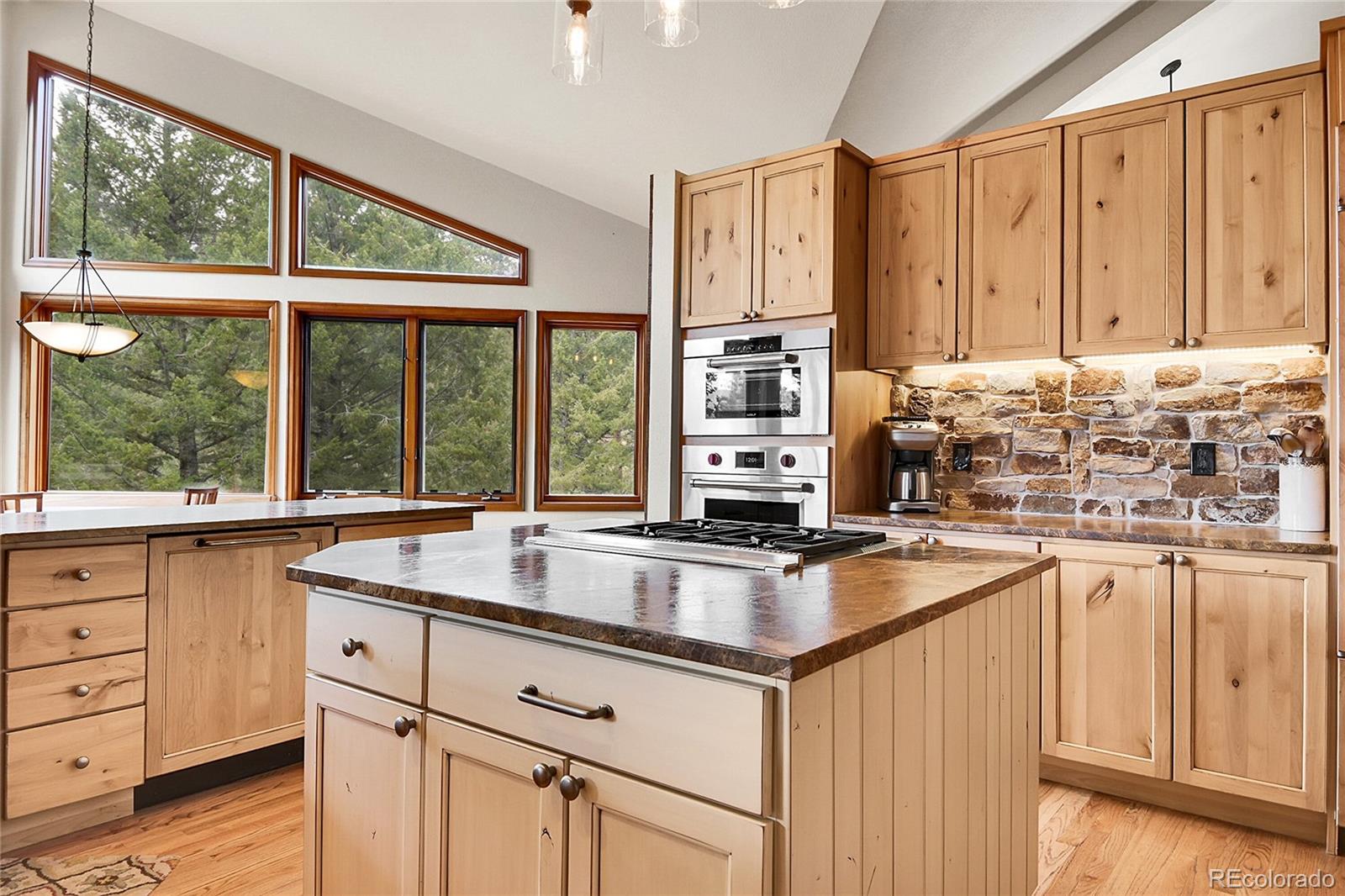 3726 Spring Valley Trail Evergreen, CO 80439 - Photo 8 of 50