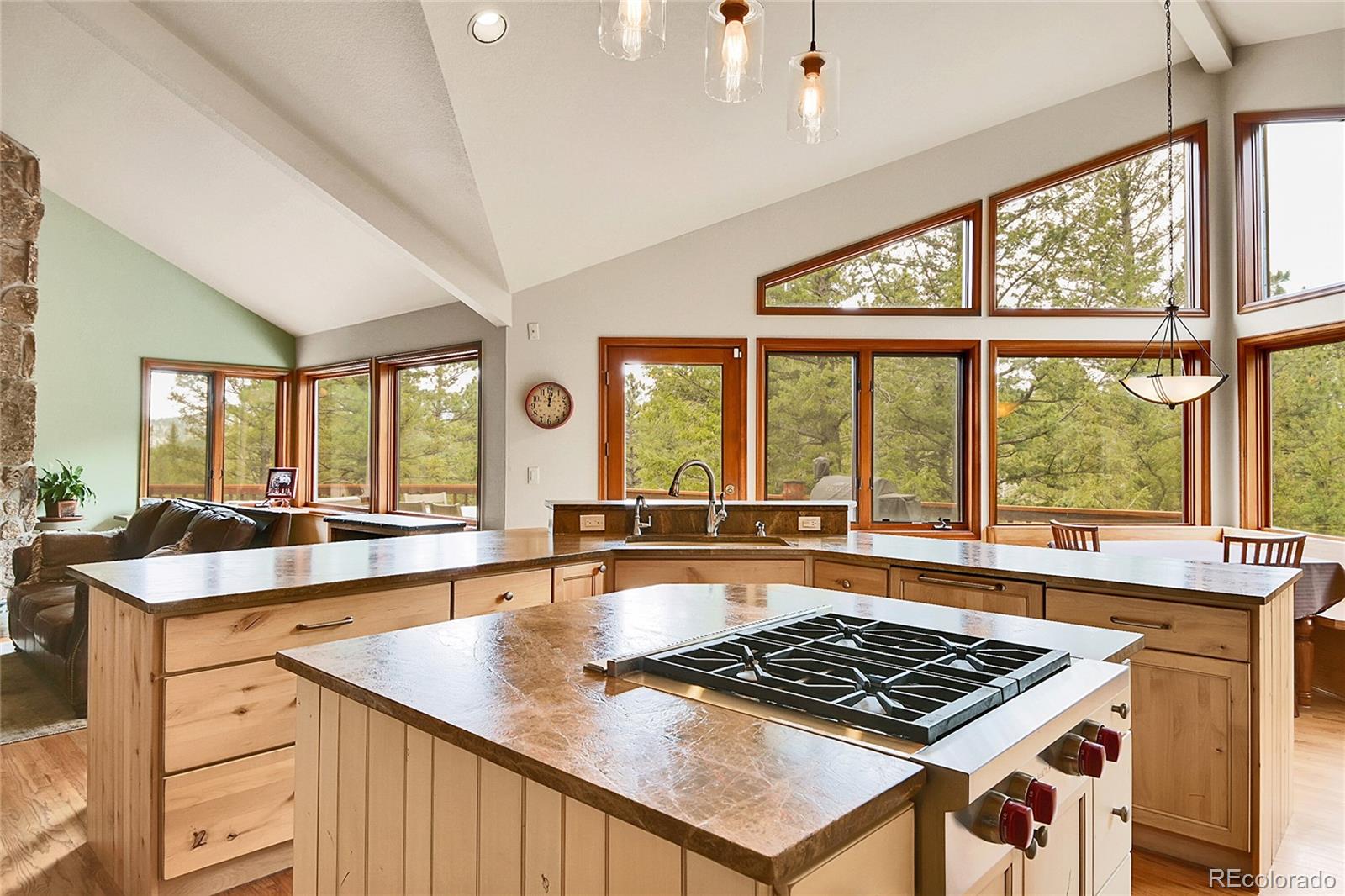 3726 Spring Valley Trail Evergreen, CO 80439 - Photo 9 of 50