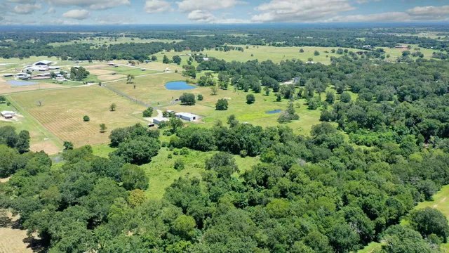 $1,300,000 | 2644 Derby Lane, Madisonville, TX 77864