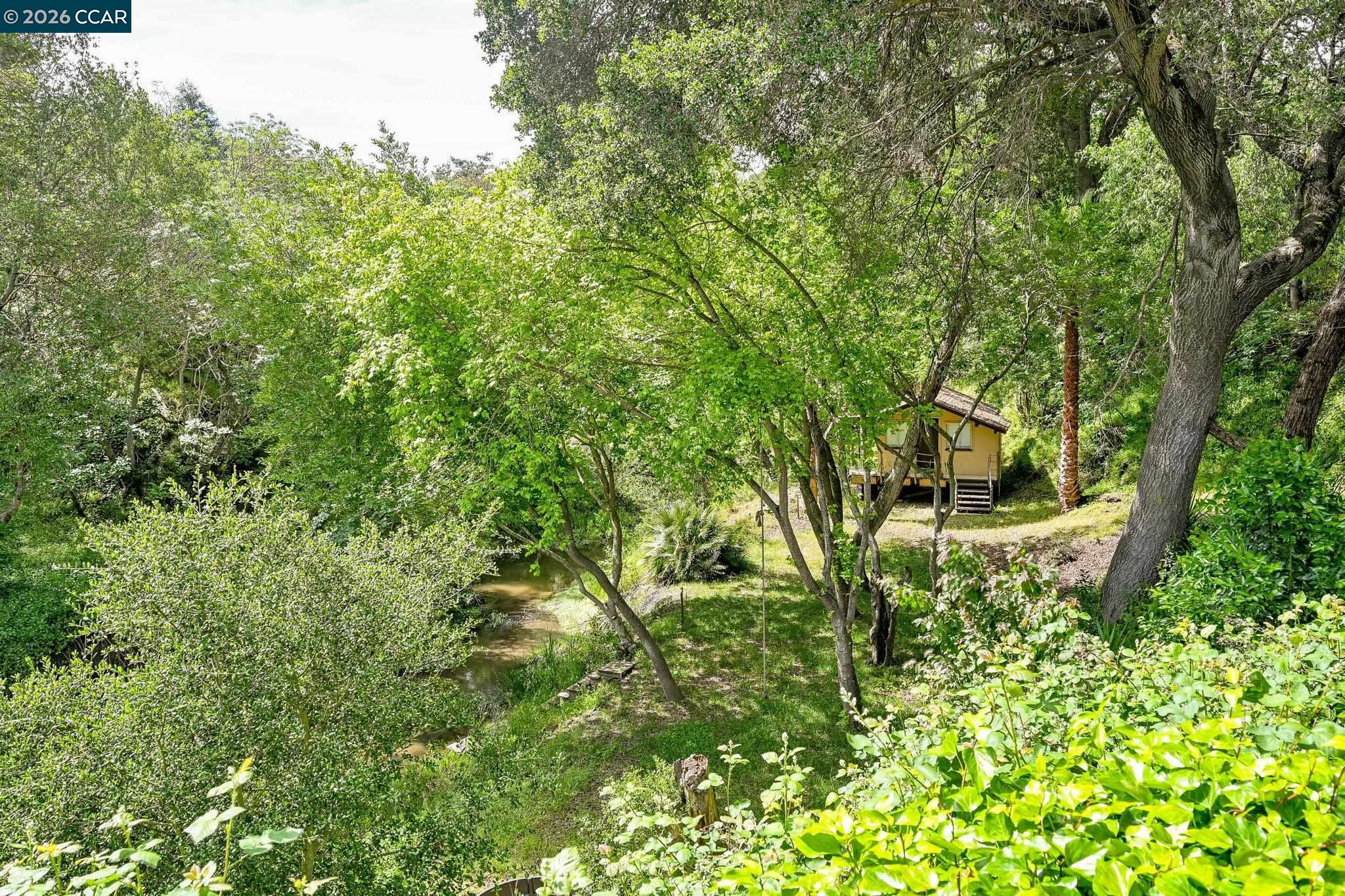 490 St Marys Road Lafayette, CA 94549 - Photo 34 of 61 a view of a yard with plants and large trees