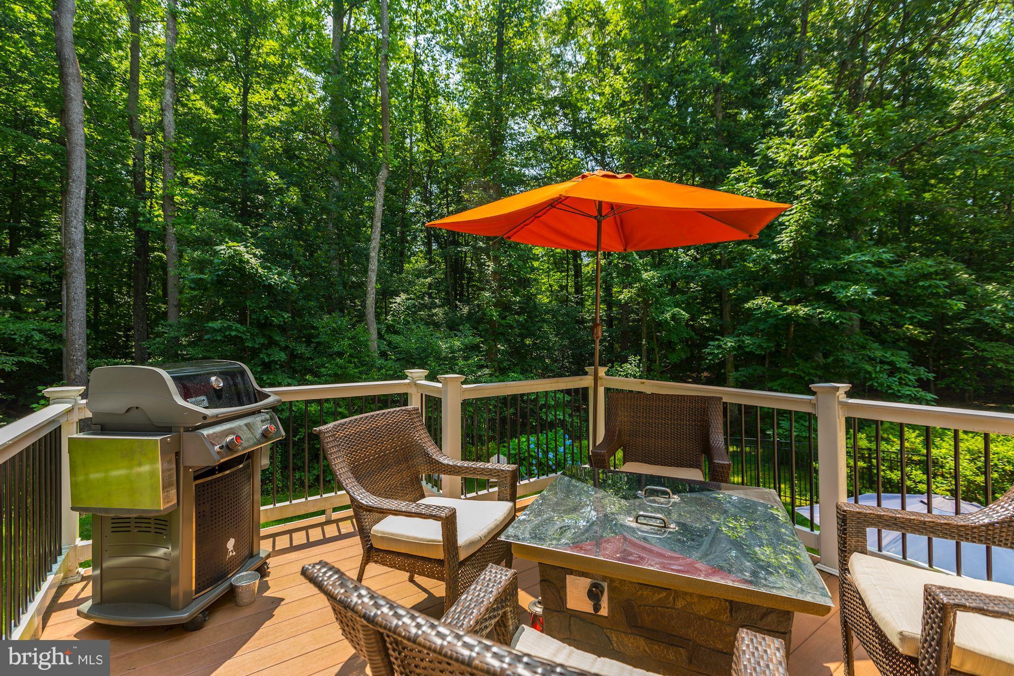 411 Heitzman Road Davidsonville, MD 21035 - Photo 3 of 29 Spacious deck with composite materials