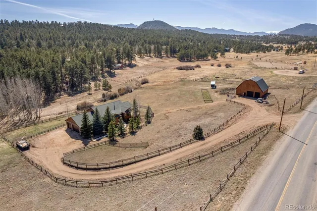 a view of a town with big tree