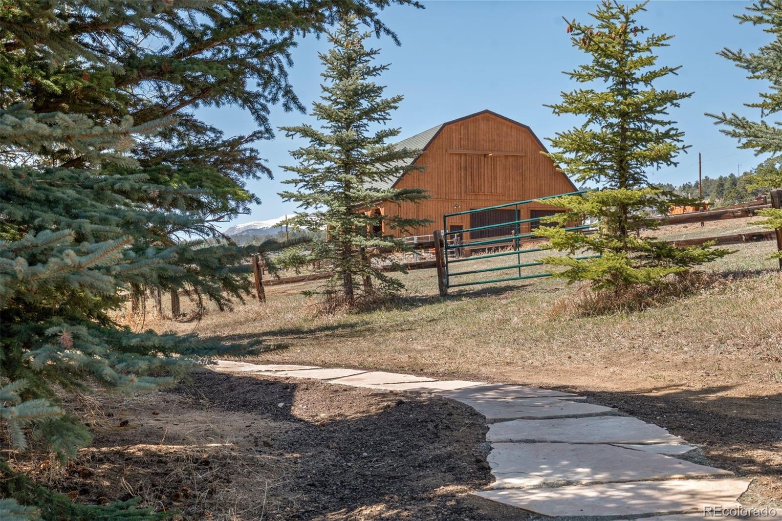 1740 County Road 72 Bailey, CO 80421 - Photo 4 of 40 a view of a yard in front of a house