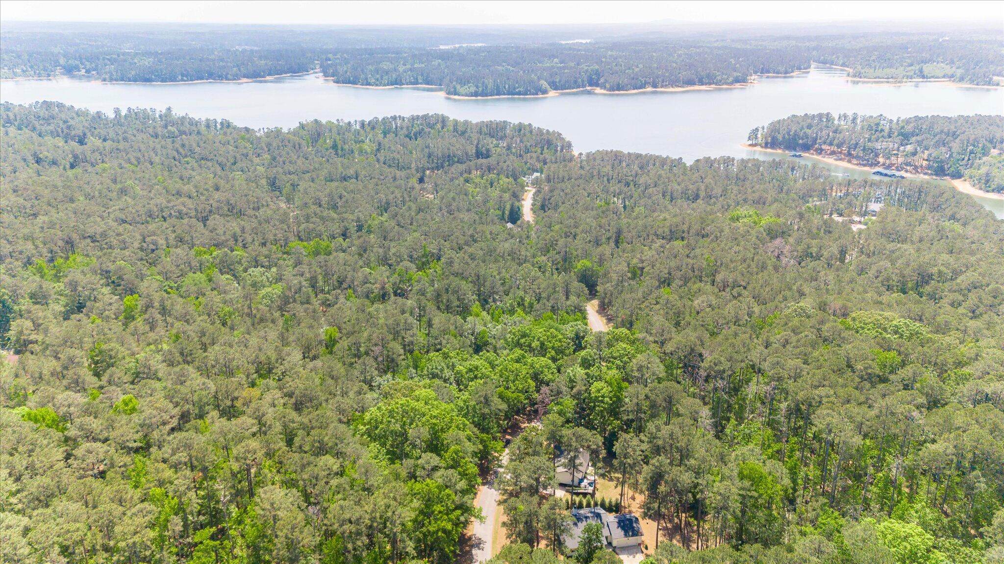 203 Skyview Lane McCormick, SC 29835 - Photo 2 of 41 46-046-