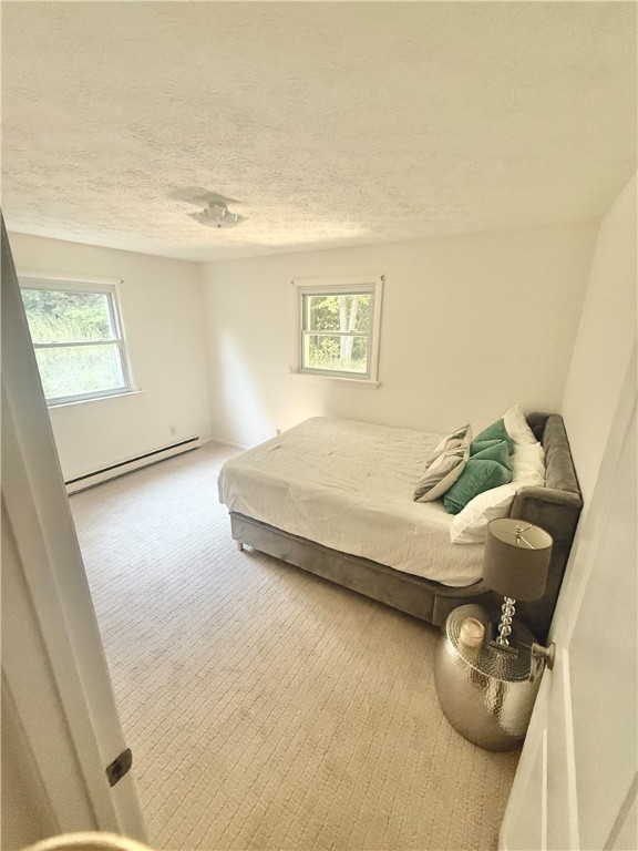 5024 Seneca Point Road Canandaigua Town, NY 14424 - Photo 23 of 34