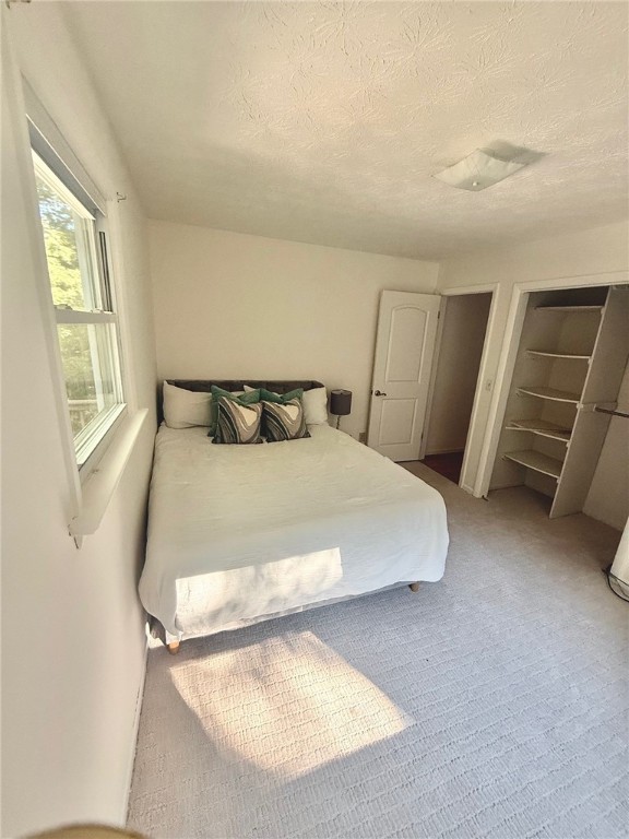 5024 Seneca Point Road Canandaigua Town, NY 14424 - Photo 25 of 34