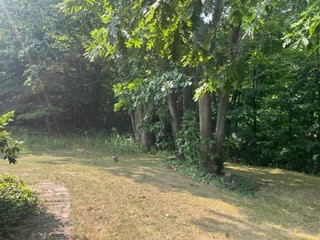 5024 Seneca Point Road Canandaigua Town, NY 14424 - Photo 33 of 34 Rear Yard