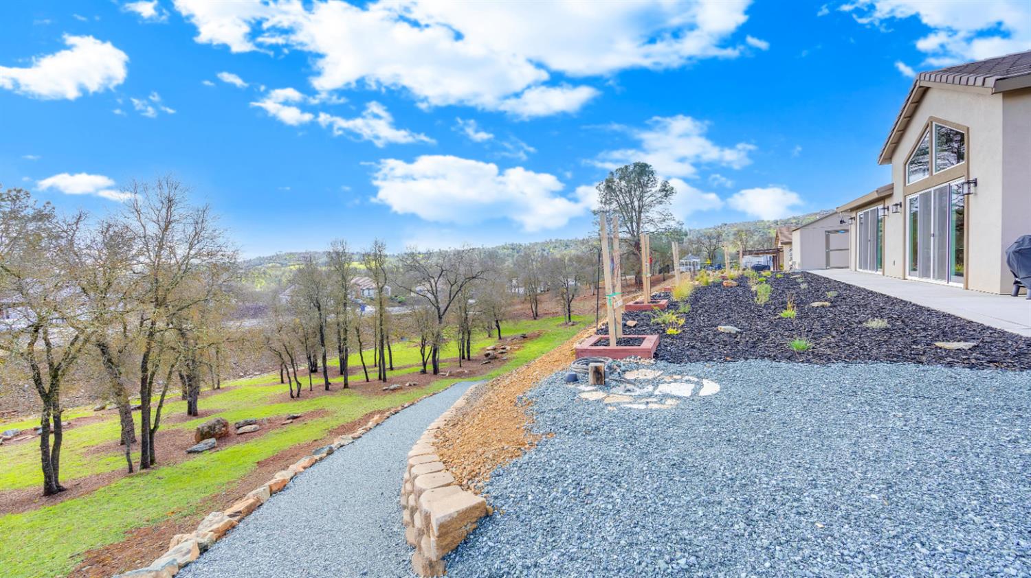 133 Palisades Place Copperopolis, CA 95228 - Photo 35 of 89 a view of a park with large trees