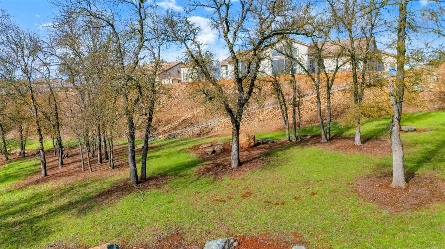 133 Palisades Place Copperopolis, CA 95228 - Photo 36 of 89