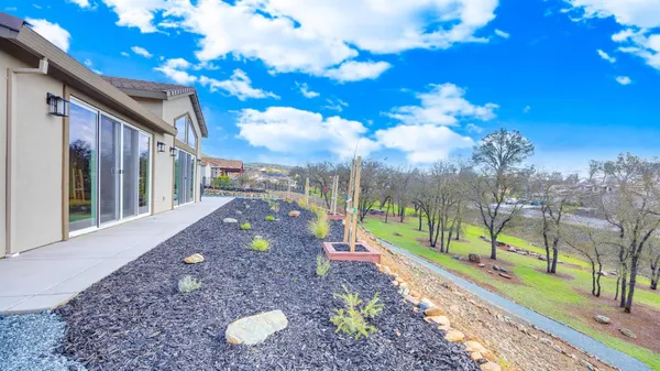 a view of a park with large trees