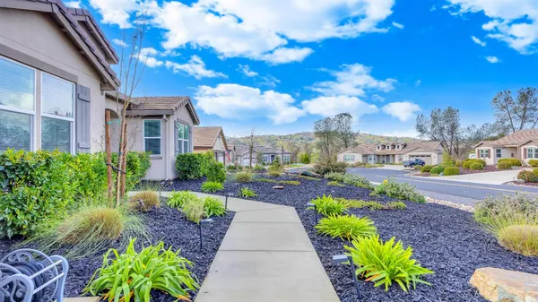 a view of a house with a yard and plants
