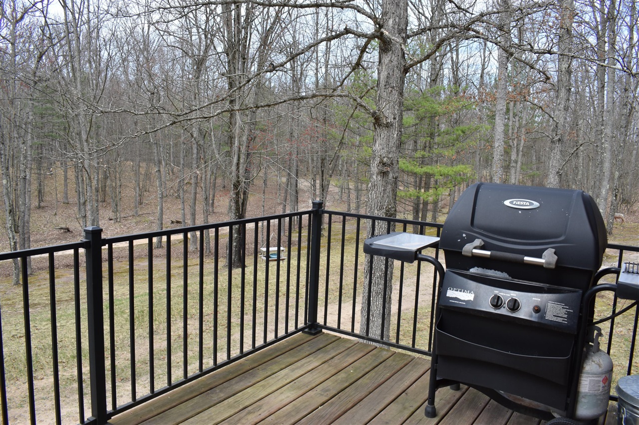 6590 Deer Path Drive Reed City, MI 49677 - Photo 22 of 32