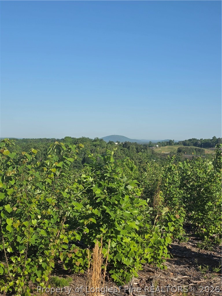 0 Skeen View Road Asheboro, NC 27205 - Photo 10 of 20 a view of a field with an outdoor space