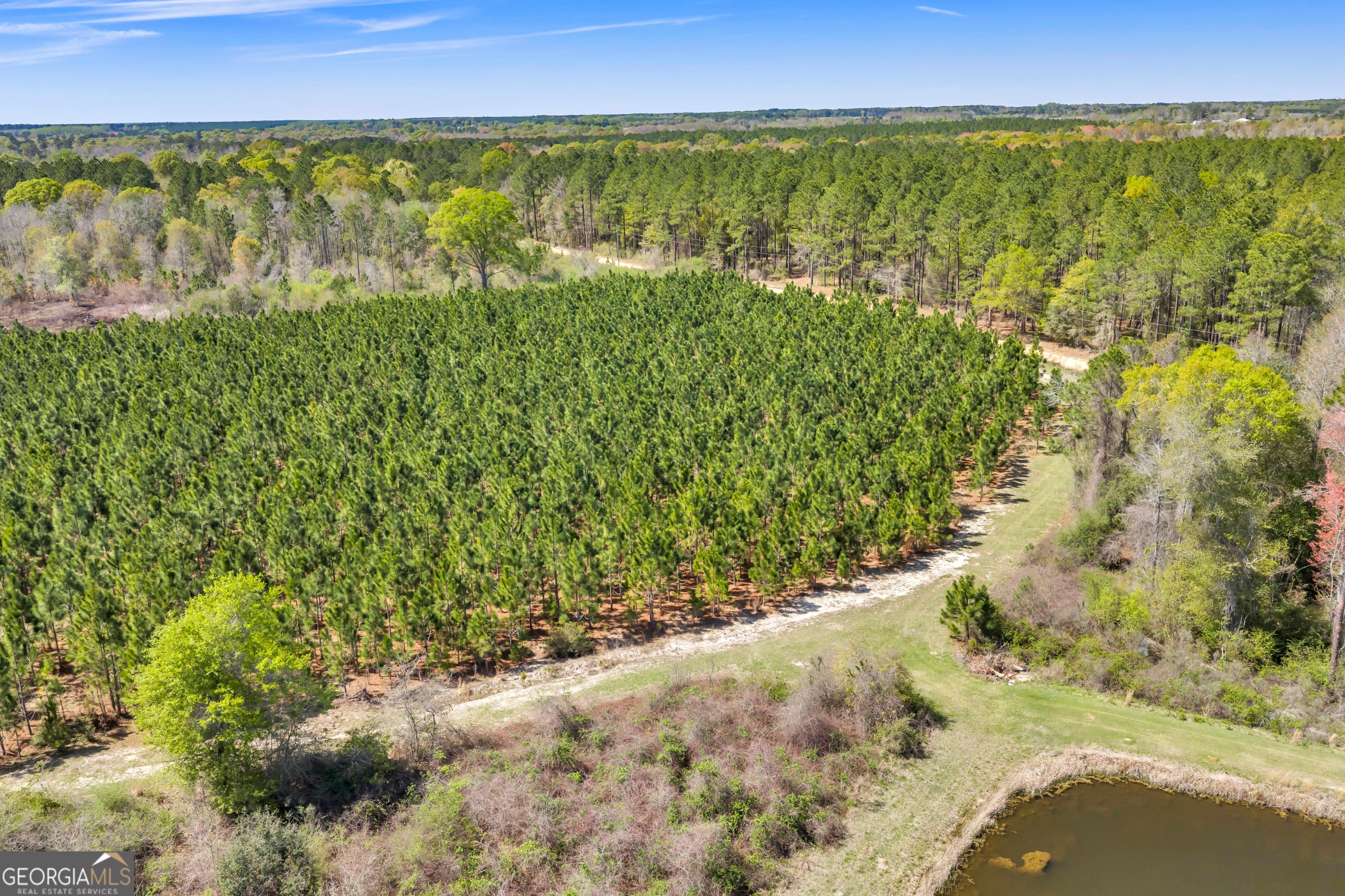 0 Taylor Road Fitzgerald, GA 31750 - Photo 11 of 28