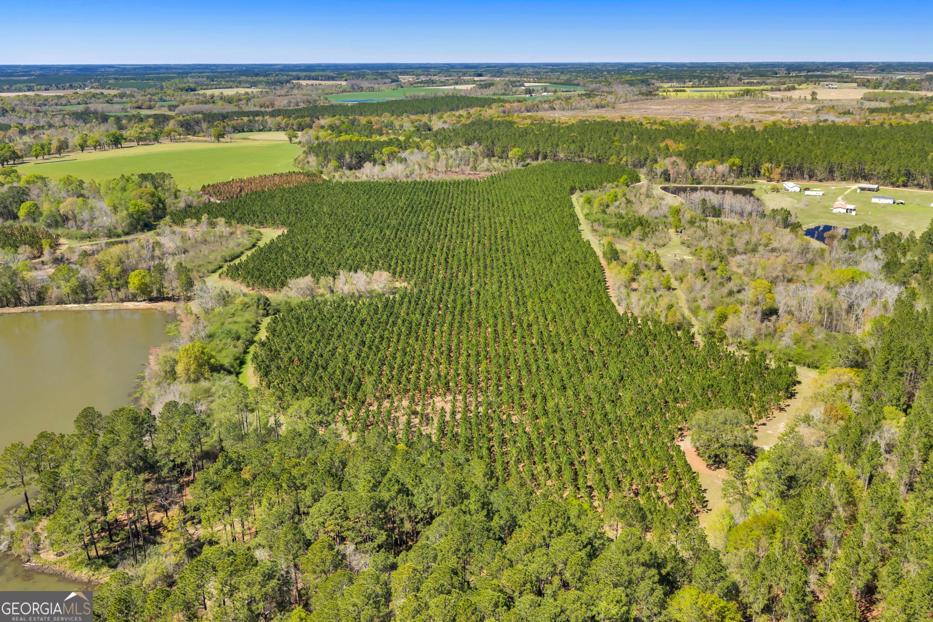 0 Taylor Road Fitzgerald, GA 31750 - Photo 12 of 28