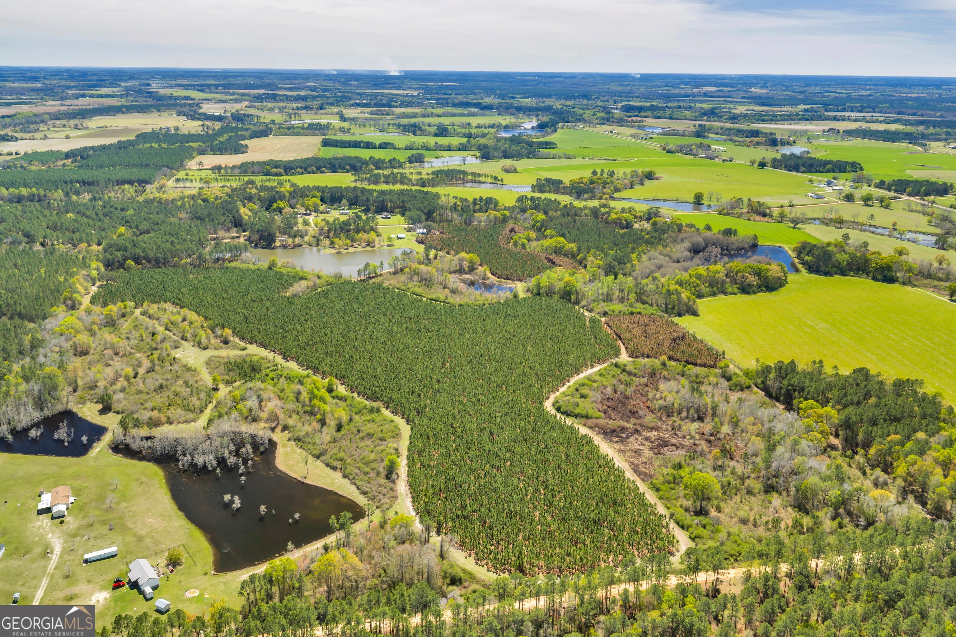 0 Taylor Road Fitzgerald, GA 31750 - Photo 14 of 28