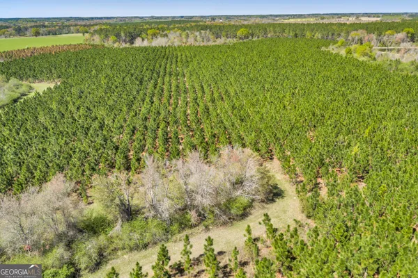 a view of a yard with an outdoor space