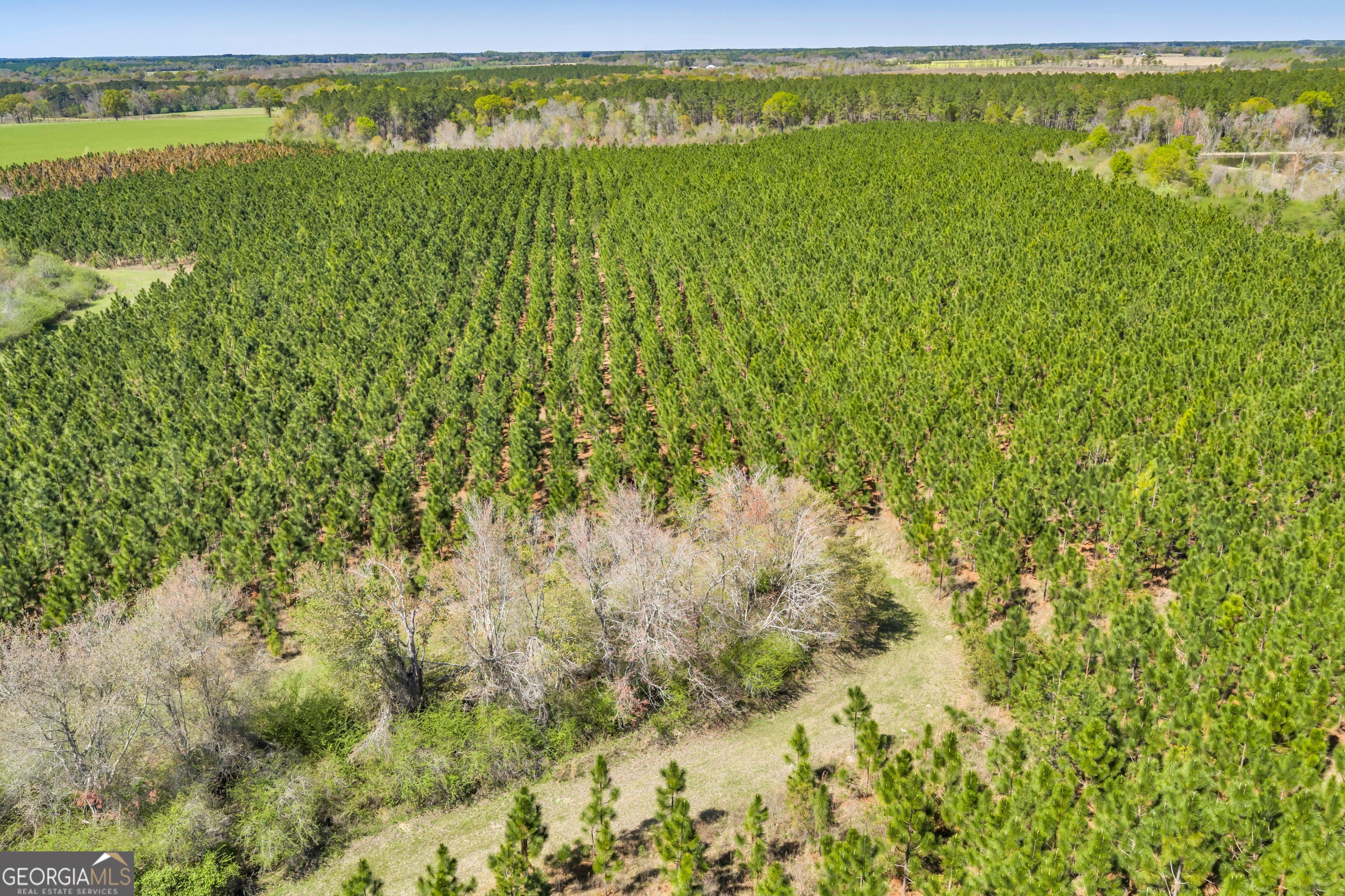 0 Taylor Road Fitzgerald, GA 31750 - Photo 16 of 28