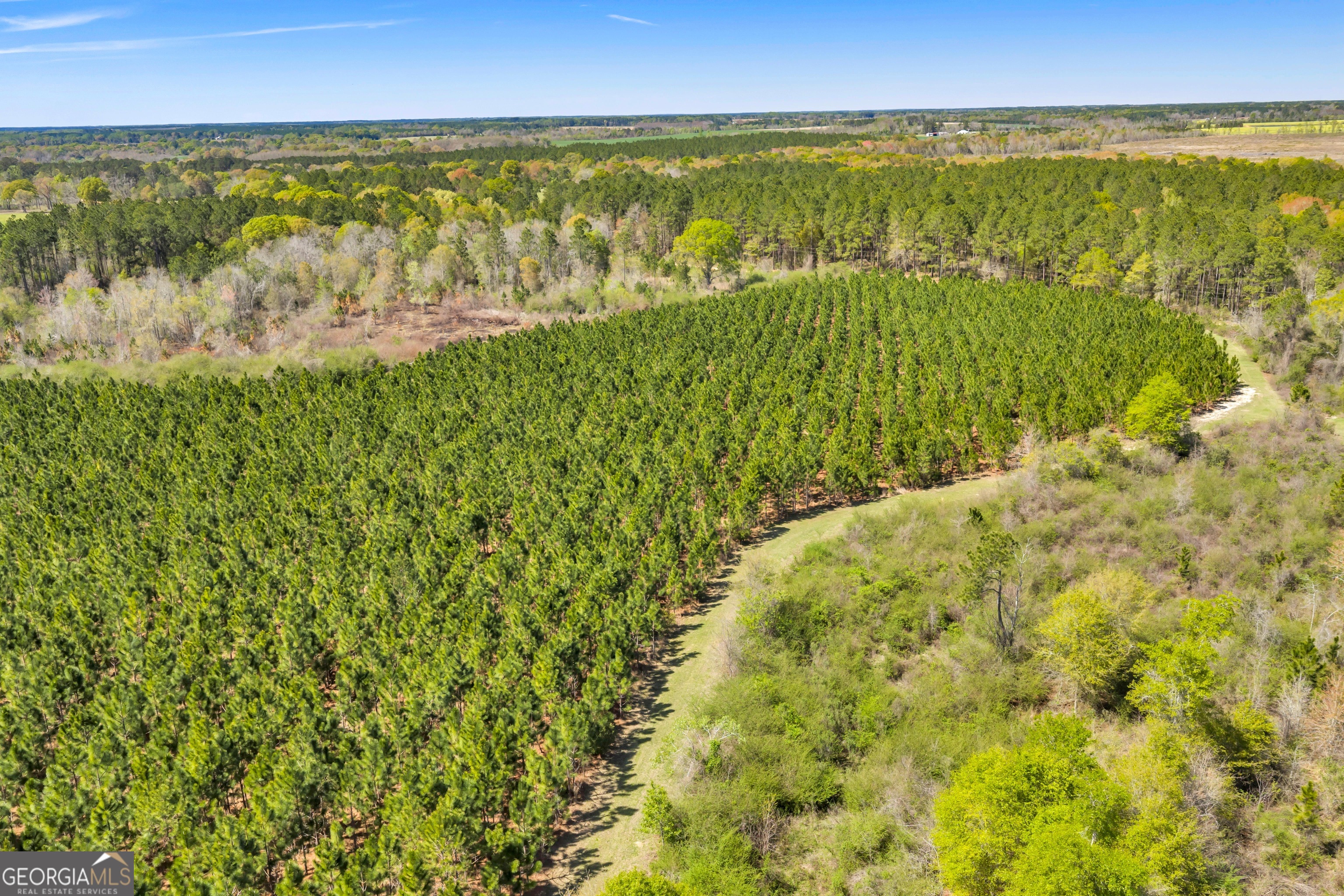 0 Taylor Road Fitzgerald, GA 31750 - Photo 17 of 28