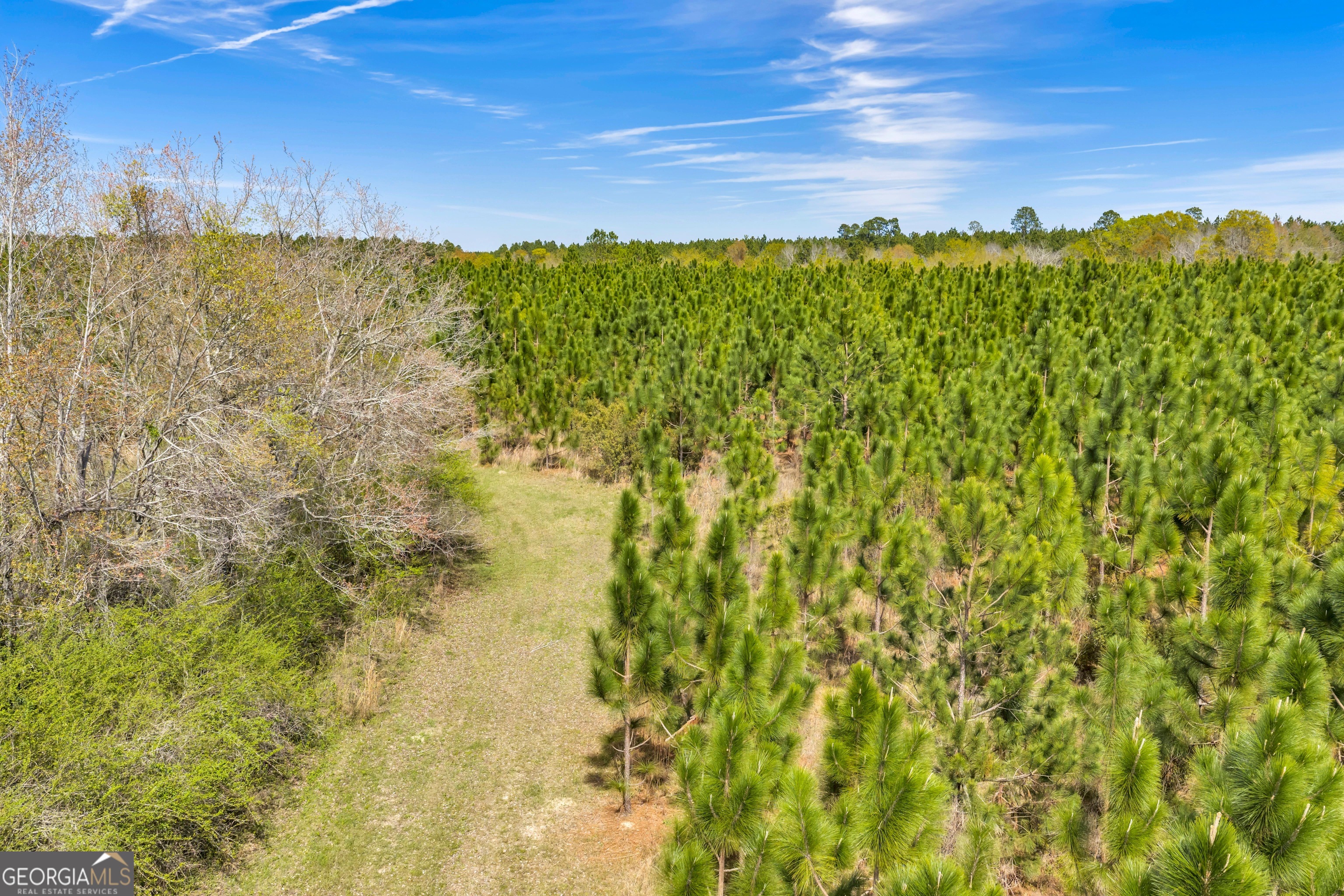 0 Taylor Road Fitzgerald, GA 31750 - Photo 18 of 28