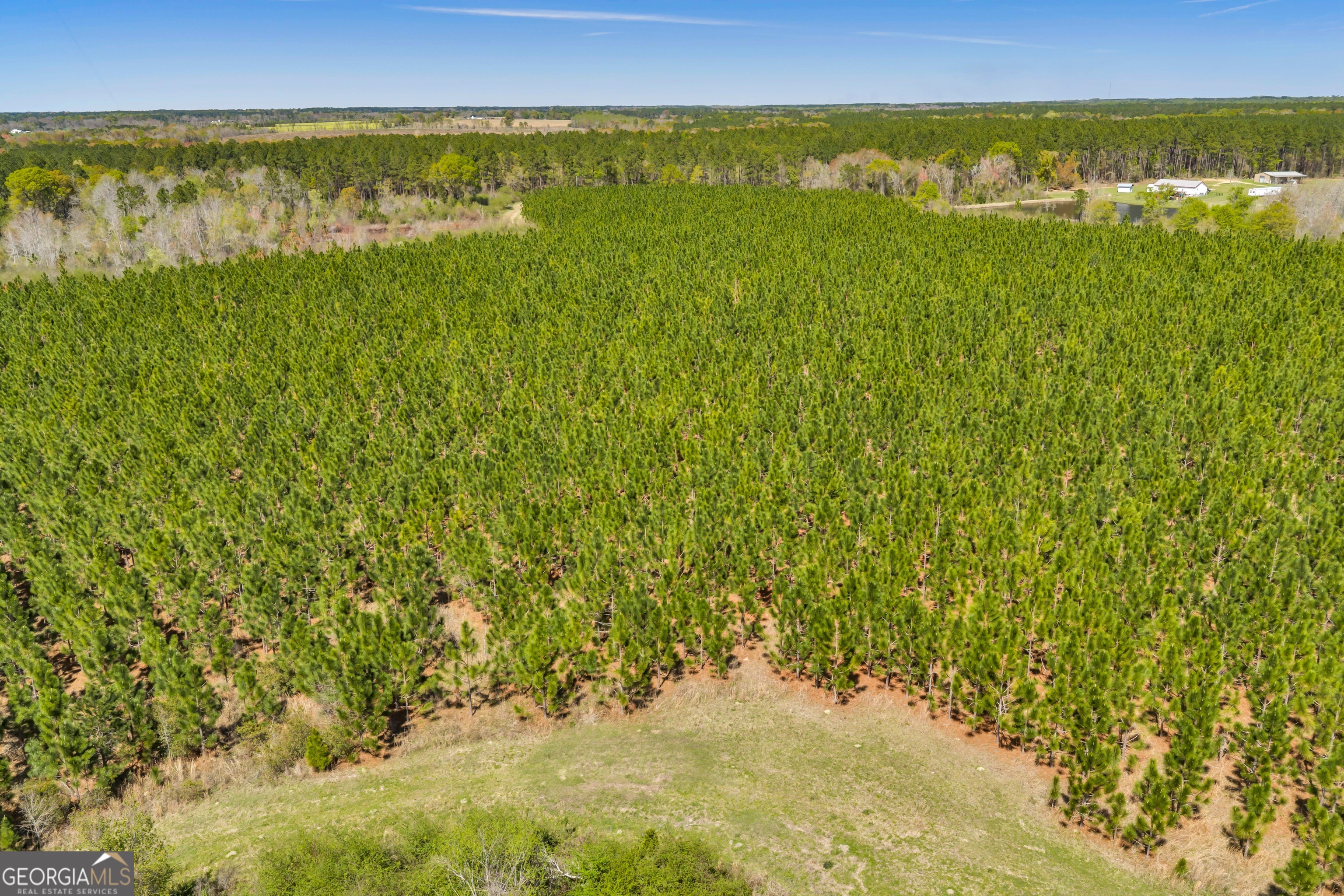 0 Taylor Road Fitzgerald, GA 31750 - Photo 20 of 28