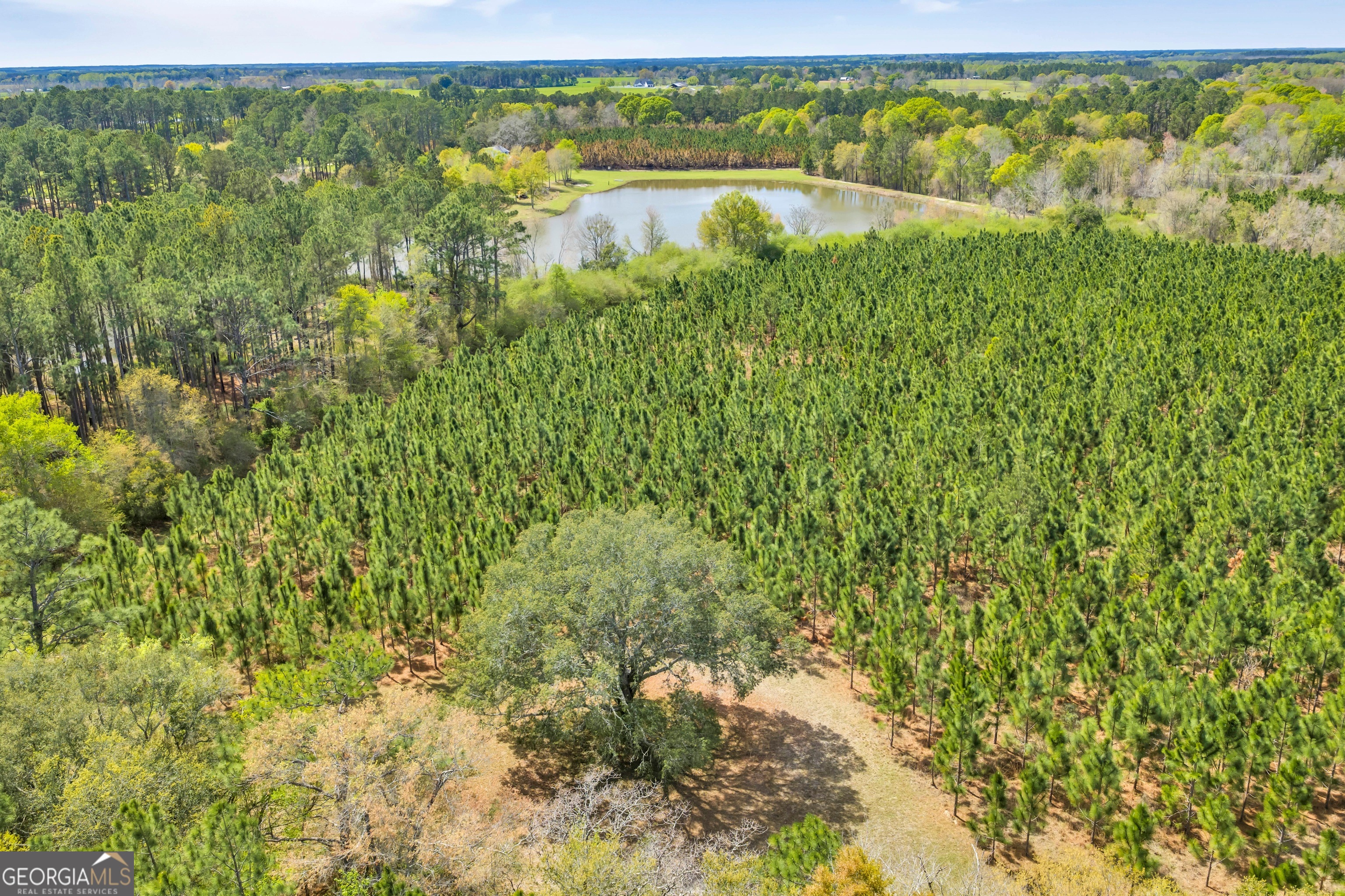 0 Taylor Road Fitzgerald, GA 31750 - Photo 2 of 28