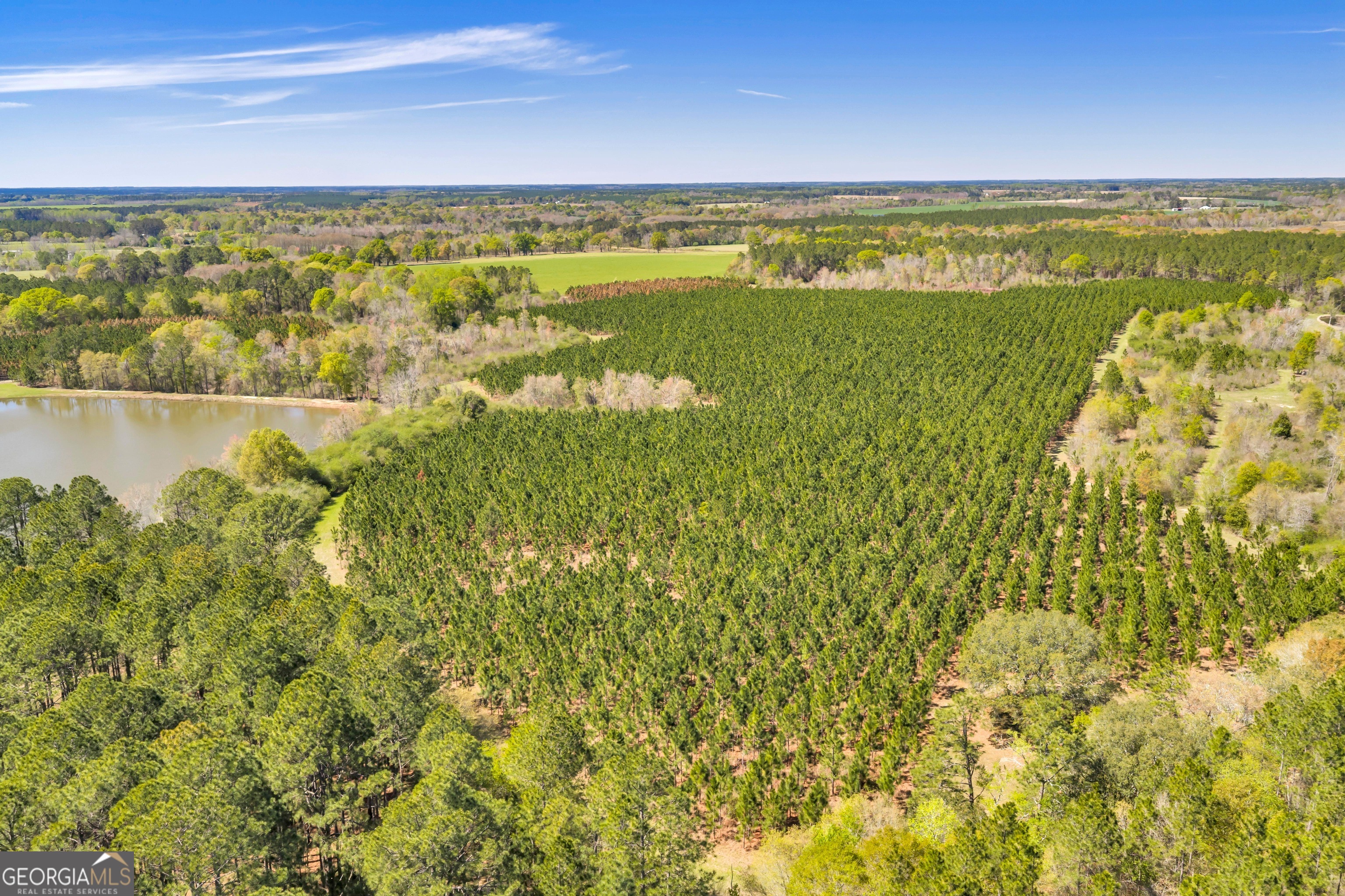 0 Taylor Road Fitzgerald, GA 31750 - Photo 22 of 28