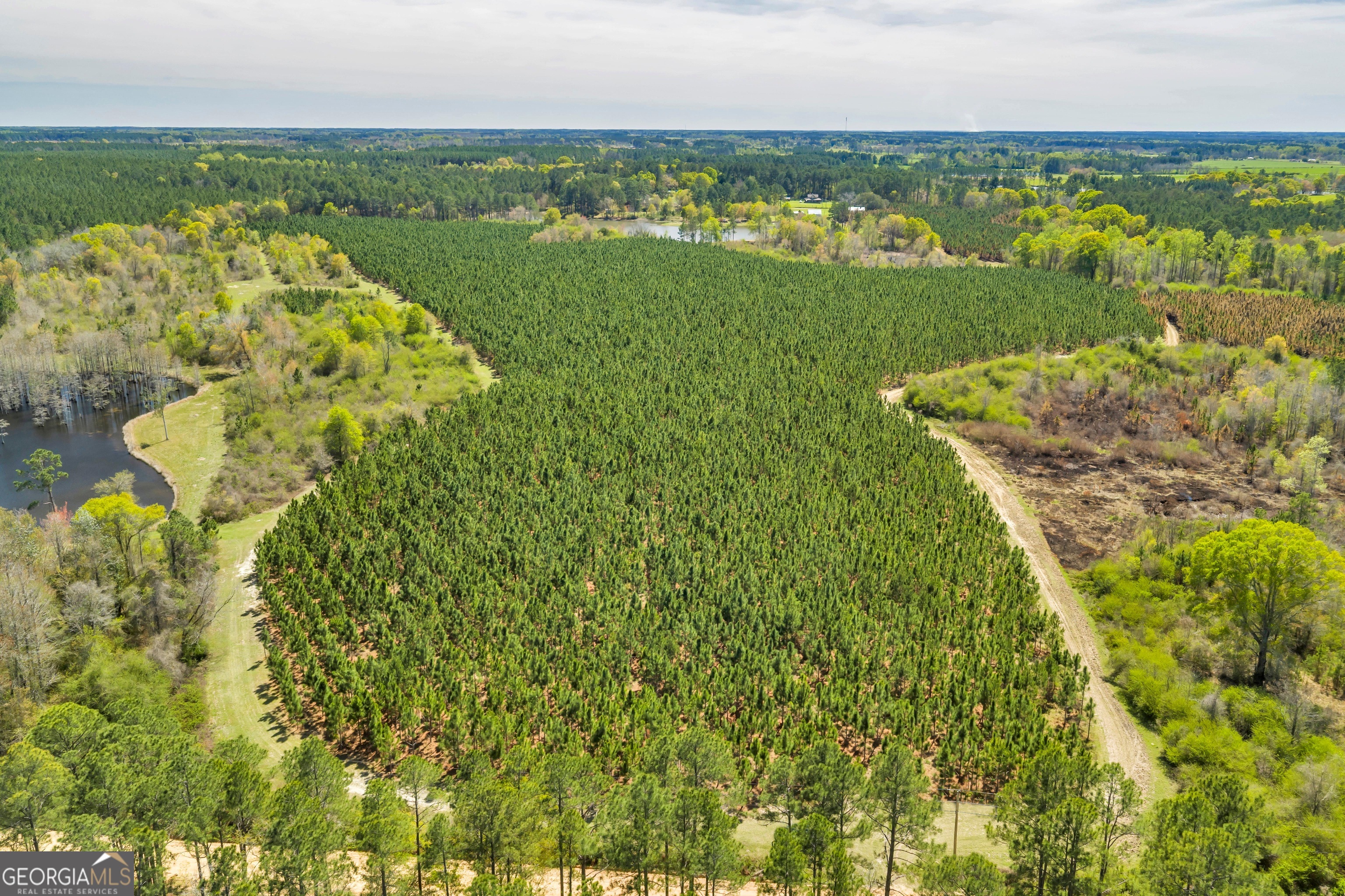 0 Taylor Road Fitzgerald, GA 31750 - Photo 23 of 28