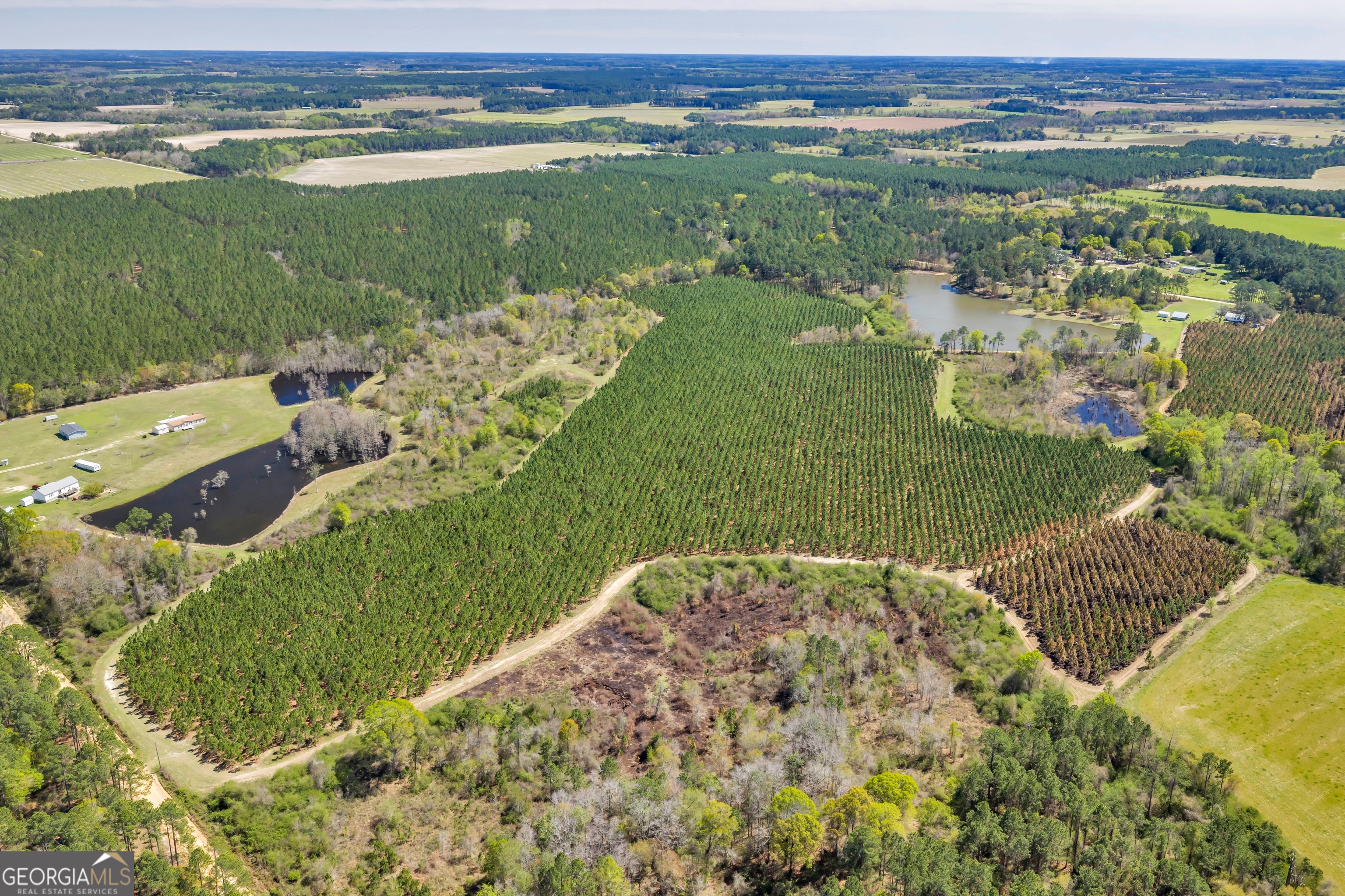 0 Taylor Road Fitzgerald, GA 31750 - Photo 24 of 28