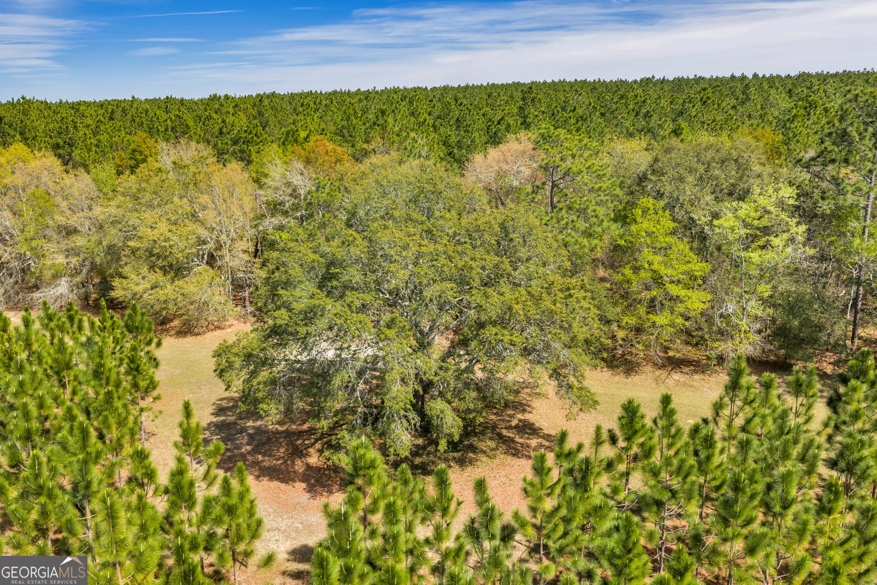 0 Taylor Road Fitzgerald, GA 31750 - Photo 26 of 28