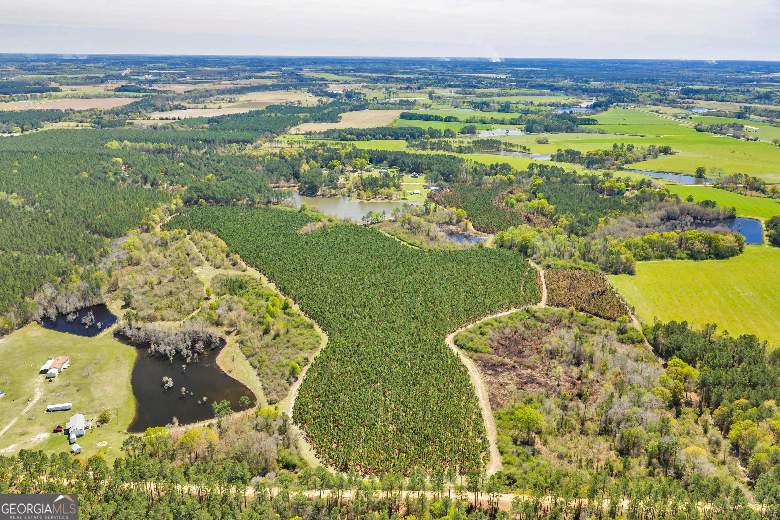 0 Taylor Road Fitzgerald, GA 31750 - Photo 27 of 28