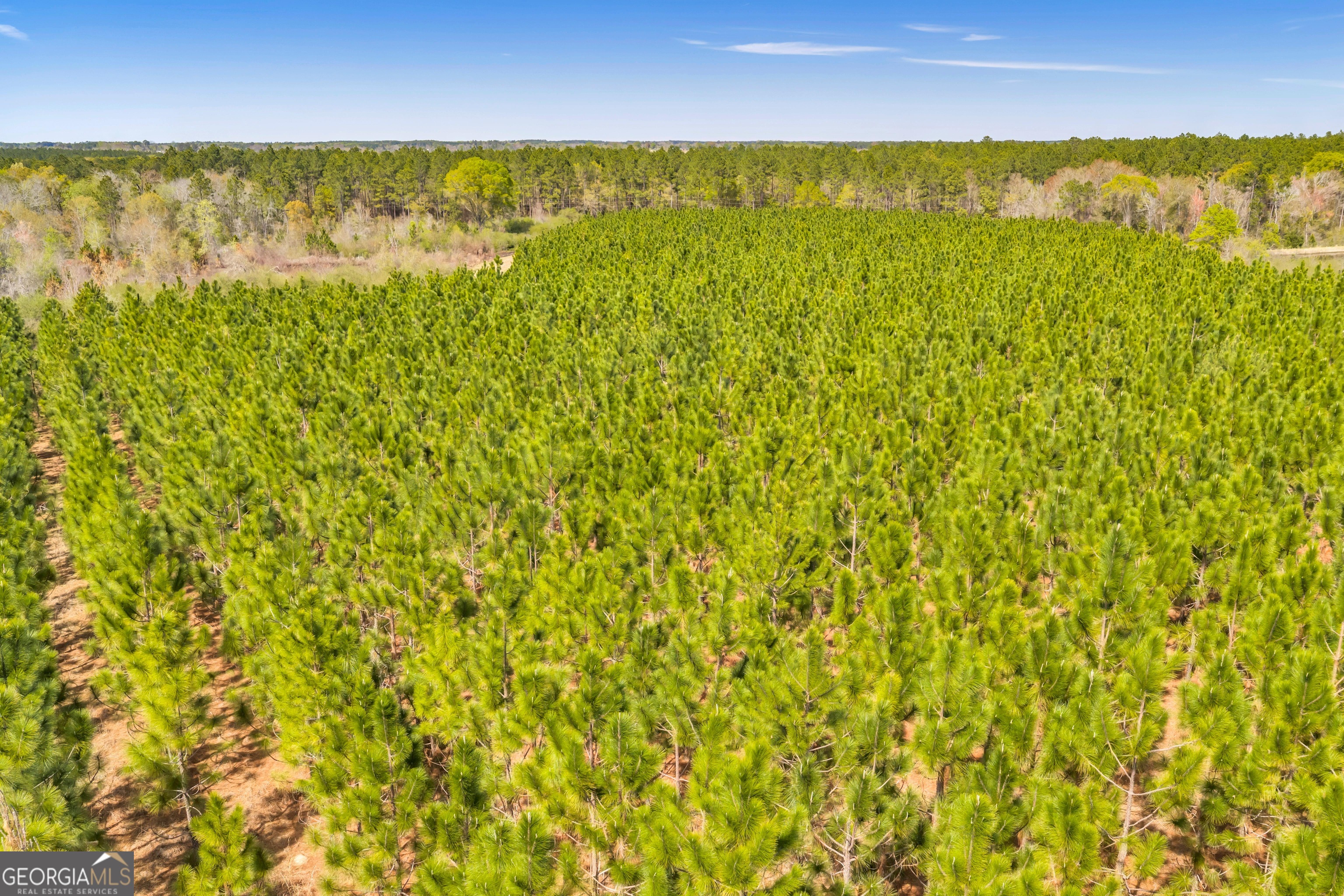 0 Taylor Road Fitzgerald, GA 31750 - Photo 3 of 28