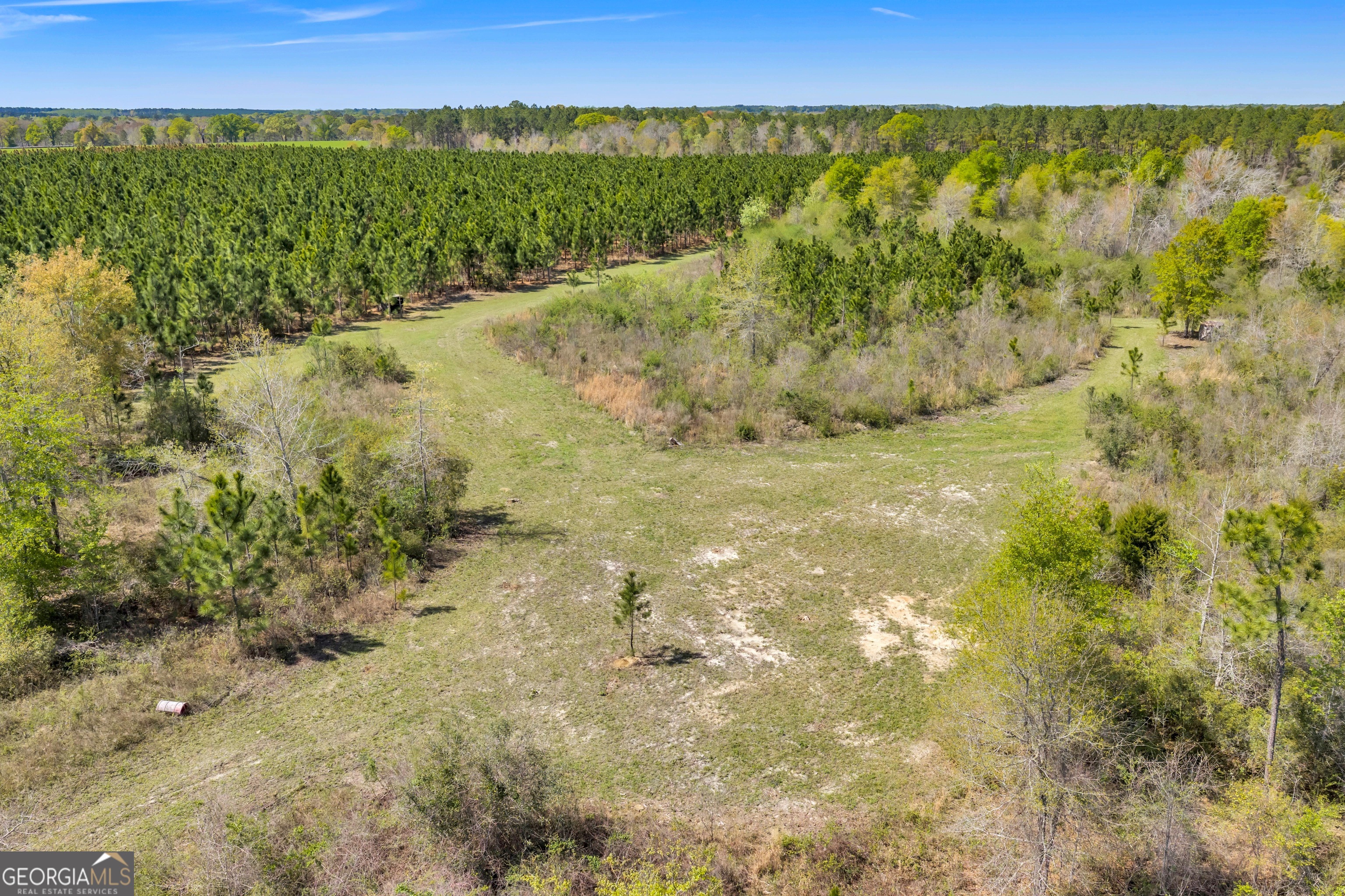 0 Taylor Road Fitzgerald, GA 31750 - Photo 4 of 28