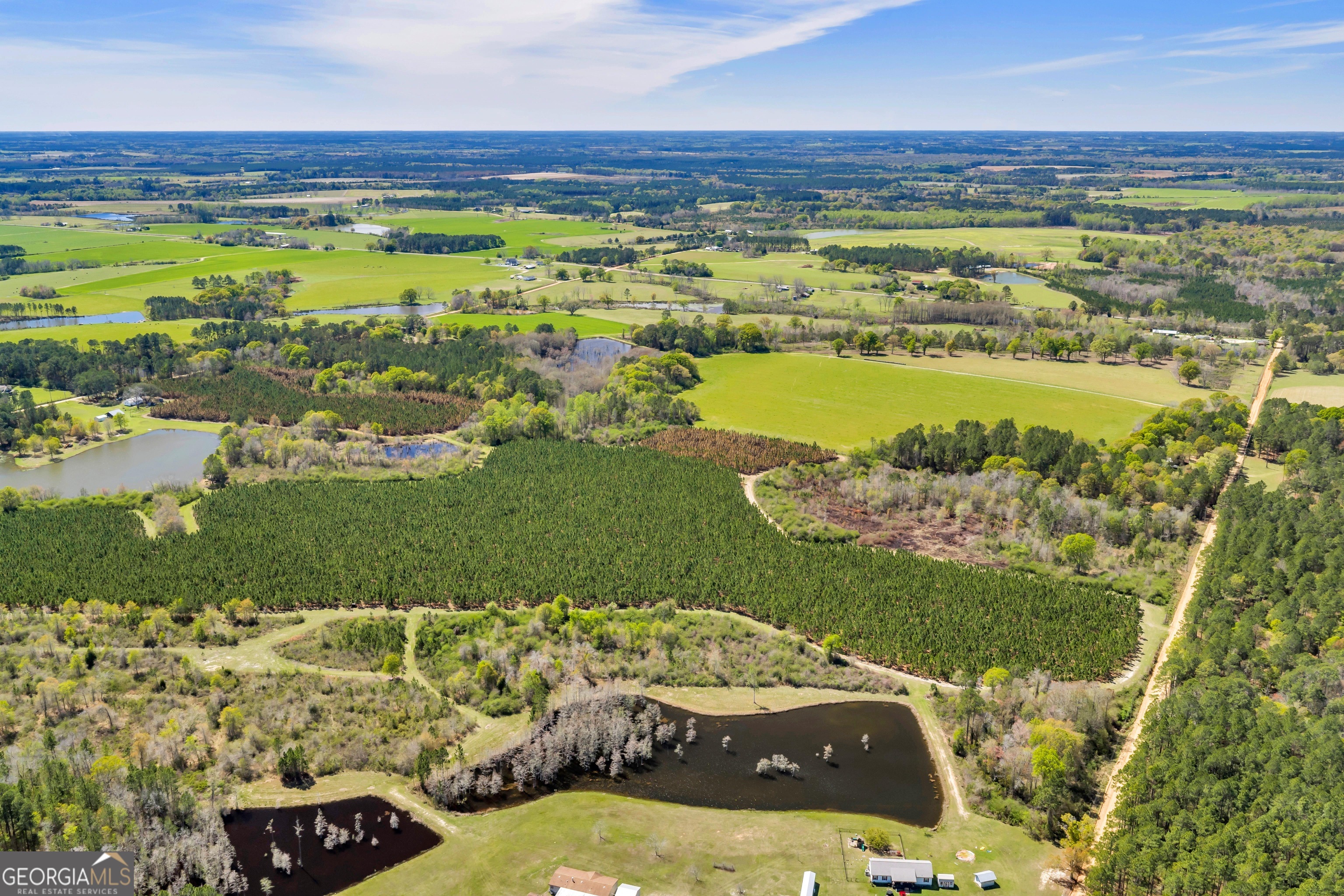 0 Taylor Road Fitzgerald, GA 31750 - Photo 5 of 28